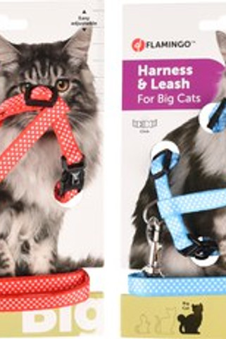 Flamingo f-560924 - Ensemble Sécurisé Harnais et Laisse pour Chat