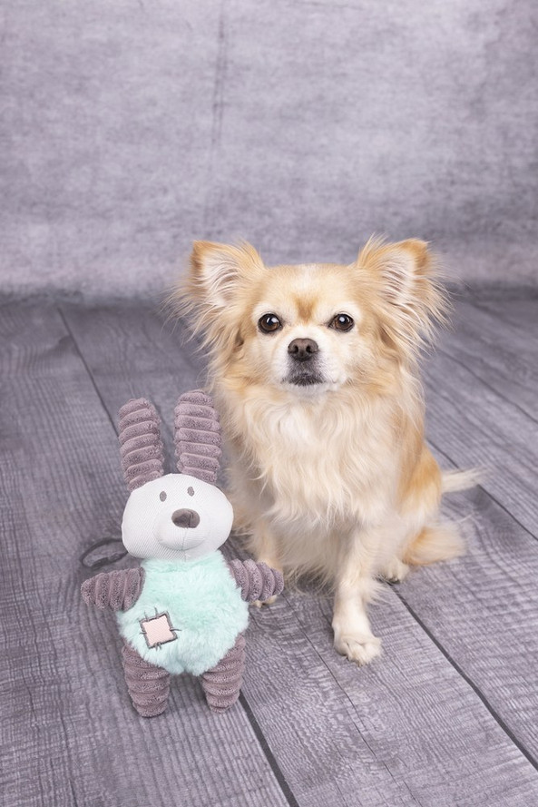 Flamingo f-520008 - Jouet Small Dog Lapin Ikra Gris