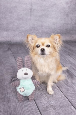 Flamingo f-520008 - Jouet Small Dog Lapin Ikra Gris