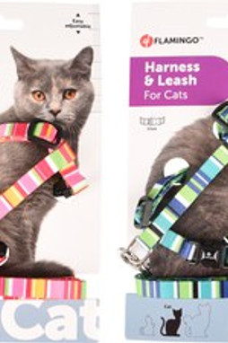 Flamingo f-560931 - Ensemble Harnais et Laisse Amira pour Chats Aventureux