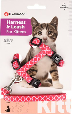 Flamingo f-560933 - Harnais avec laisse Chaton