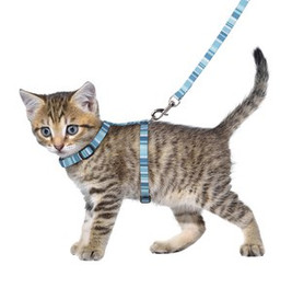 Flamingo f-560926 - Harnais avec laisse Chaton