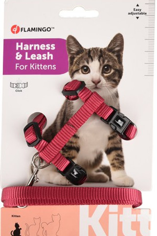 Flamingo f-560996 - Harnais avec laisse Chaton cérise