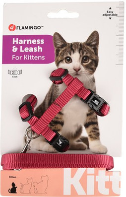 Flamingo f-560996 - Harnais avec laisse Chaton cérise