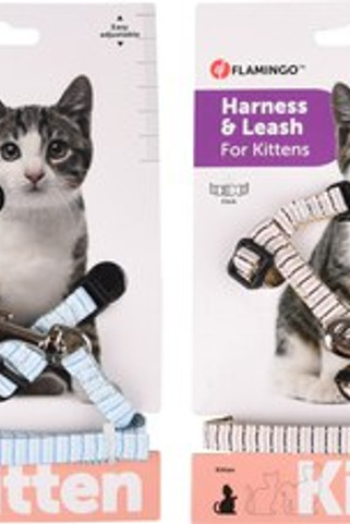 Flamingo f-561030 - Harnais avec laisse Chaton