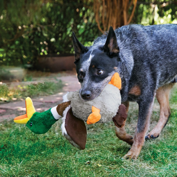 Kong® f-520485 - Kong® Jouet Honkers Canard