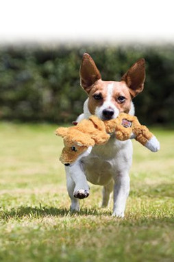 Kong® f-520476 - Kong® Jouet Scrunch Renard