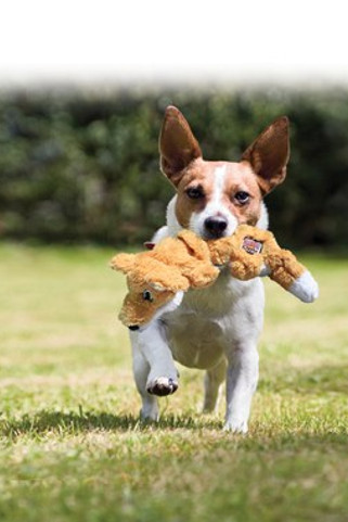 Kong® f-520476 - Kong® Jouet Scrunch Renard