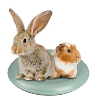 Flamingo f-210283 - Elément rafraîchissant Aleska Rond Disque clair