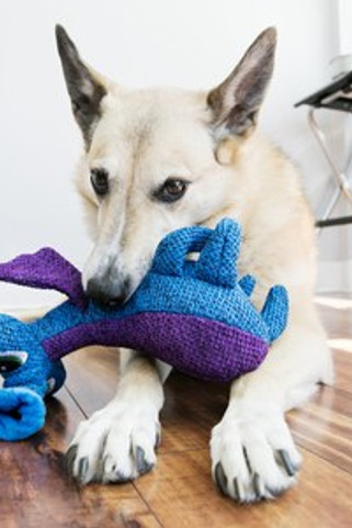 Kong® f-521044 - KONG Woozle Alien Squeaky Dog Toy for Active Play