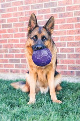 Kong® f-521043 - Kong® Jouet Ballon de football