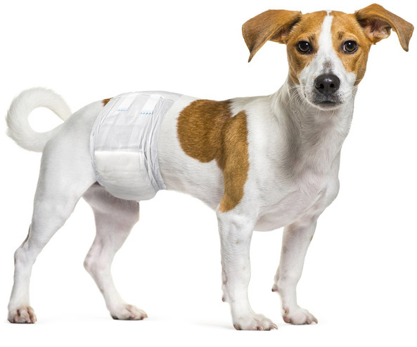 Flamingo f-521129 - Couches Absorbantes pour Chiens Mâles Âgés