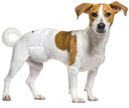 Flamingo f-521129 - Senior Dog Male Incontinence Diapers