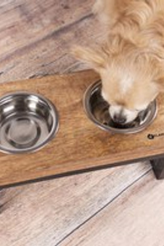 Flamingo f-521138 - Ensemble Élevé Tommy pour Nourriture et Eau