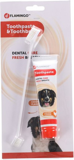 Flamingo f-521236 - Dentifrice & Brosse à dents Tube