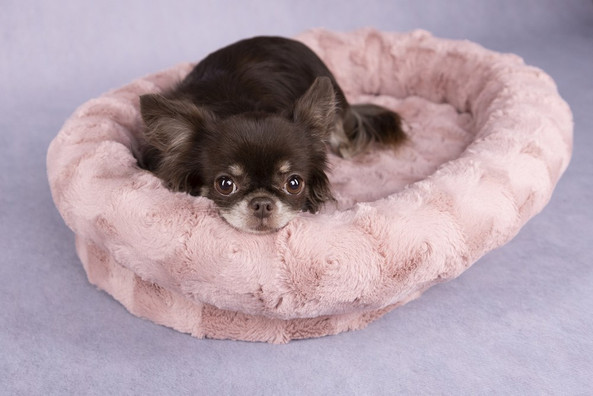 Flamingo f-521525 - Cocon Douillet pour Chiens en Rose Poudré