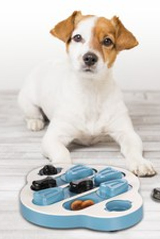 Flamingo f-521652 - Jouet Brain trainClyde Pétrol