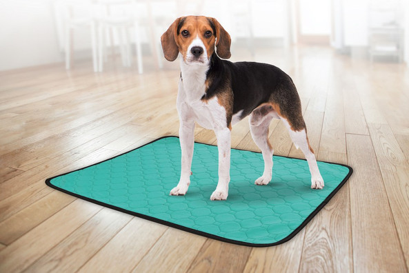 Flamingo f-521761 - Tapis d'entraînement