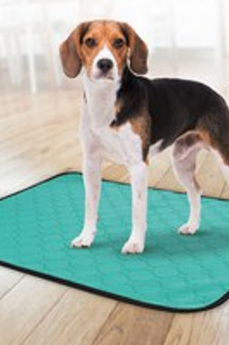 Flamingo f-521761 - Tapis dentraînement