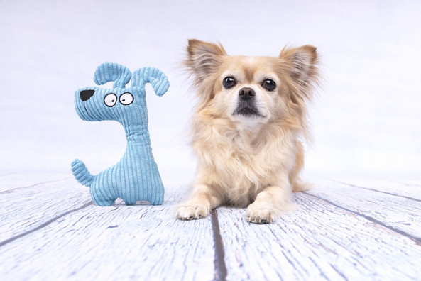 Flamingo f-521912 - Pebbles Plush Squeaky Dog Toy for Playful Pups