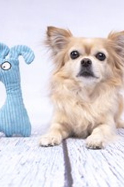 Flamingo f-521912 - Pebbles Plush Squeaky Dog Toy for Playful Pups