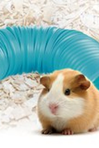 Flamingo f-210345 - Jouet Tunnel Turquoise