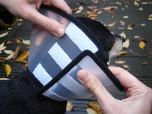 Flamingo f-503006 - Collerette de Protection Post-Opératoire pour Chiens