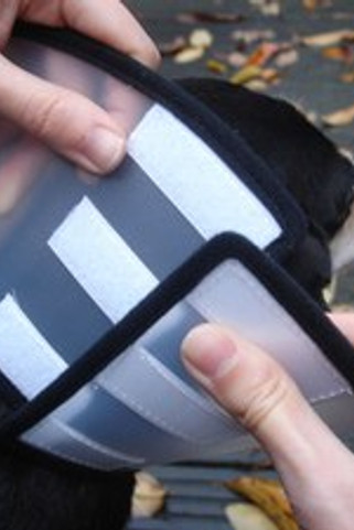 Flamingo f-503006 - Collerette de Protection Post-Opératoire pour Chiens