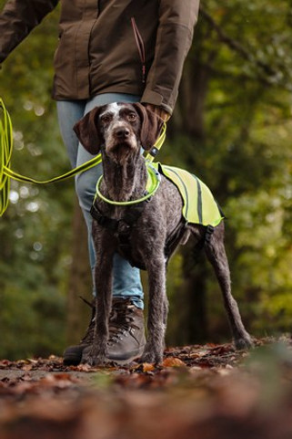 Flamingo f-502828 - Gillet de sécurité fluo