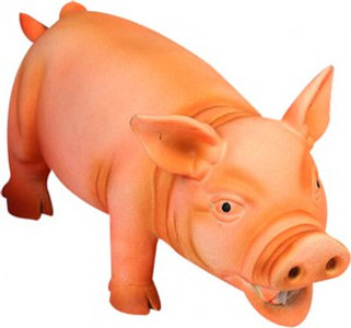 Flamingo f-504214 - Cochon Jouet Sonore en Latex pour Enfants