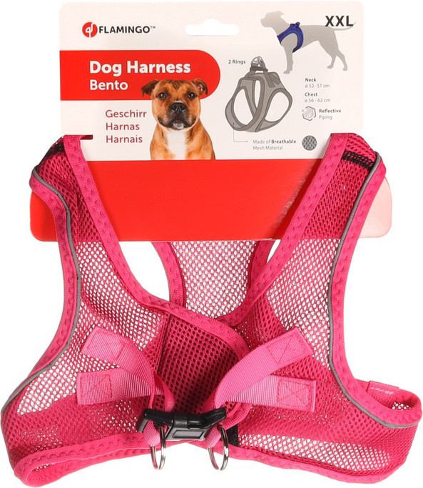 Flamingo f-519205 - Harnais Confort Chic pour Chiots Curieux