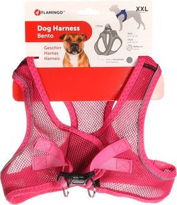 Flamingo f-519205 - Harnais Confort Chic pour Chiots Curieux