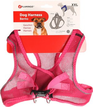 Flamingo f-519205 - Harnais Confort Chic pour Chiots Curieux