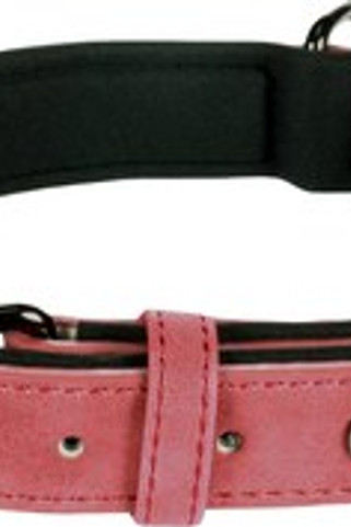 Flamingo f-519283 - Collier Avec neoprène