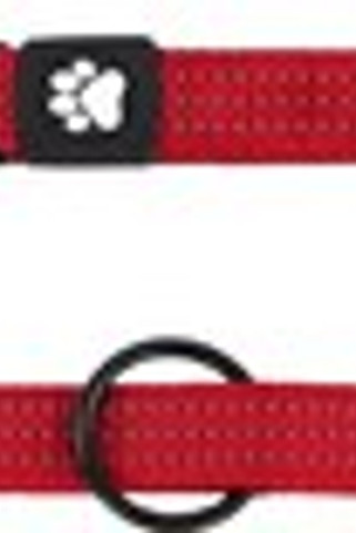 Flamingo f-521701 - Laisse dentraînement