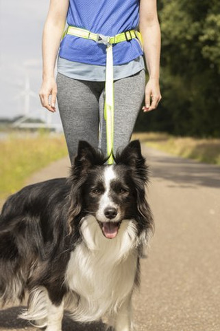 Flamingo f-522250 - Laisse pour le jogging avec ceinture ventrale fluo