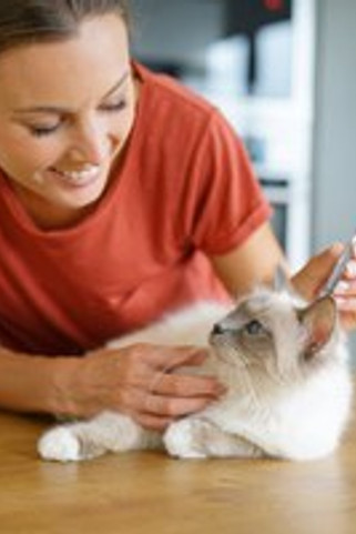 Flamingo f-561427 - Extracteur de Tiques pour Chats Vandy