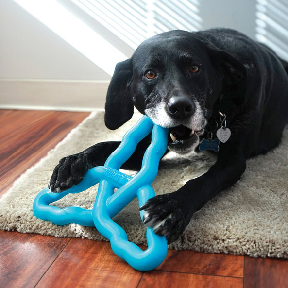 Kong® f-522554 - Jouet Flottant Flexible pour Chiens Actifs