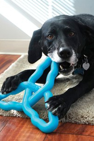 Kong® f-522554 - Kong® Flyangle Floating Dog Toy for Interactive Play