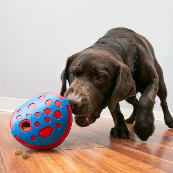 Kong® f-522553 - Kong Wally Interactive Treat Dispenser Toy