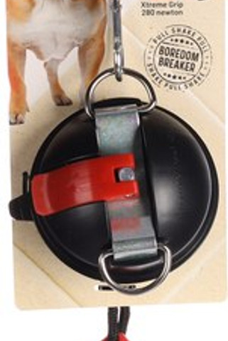 Flamingo f-522663 - Jouet Rugby et ventouse avec corde