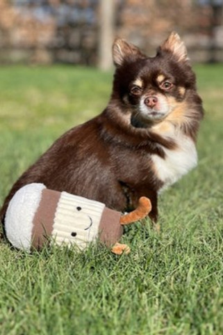 Flamingo f-522741 - Jouet Peluche Douceur pour Animaux avec Son