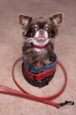Flamingo f-522915 - Buffalo Leather Red Denver Dog Leash