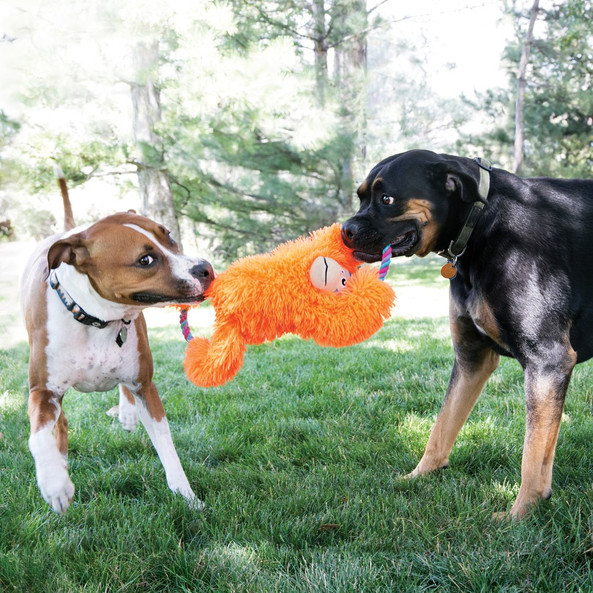 Kong® f-523025 - Kong Plush Monkey Dog Toy with Squeaker & Crinkle