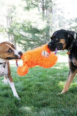 Kong® f-523025 - Kong Plush Monkey Dog Toy with Squeaker & Crinkle