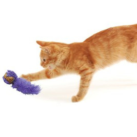 Kong® f-561510 - Jouet Actif pour Chat avec Liège et Herbe à Chat