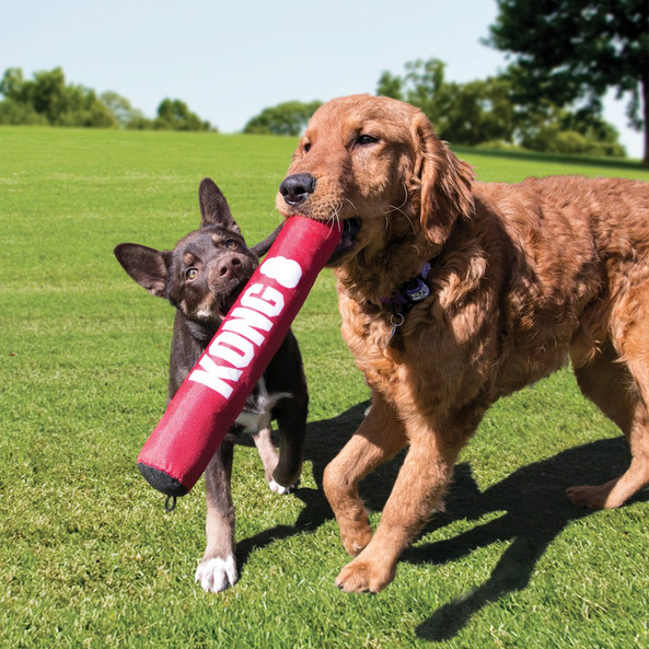 Kong® f-523034 - Kong Durable Squeaky Dog Play Stick