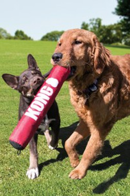 Kong® f-523034 - Jouet Bâton Rouge Kong® pour Chiens Actifs
