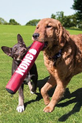Kong® f-523034 - Jouet Bâton Rouge Kong® pour Chiens Actifs