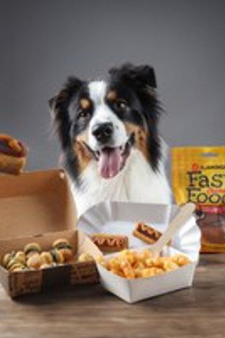 Flamingo f-523079 - Friandises Cuisse de poulet avec poulet